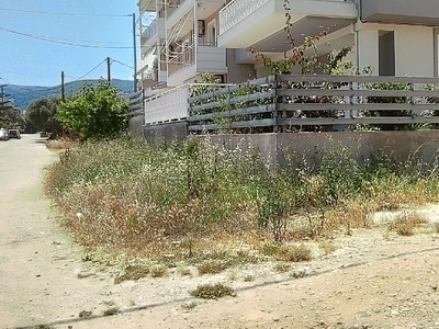 Ξεροχορτα για κόψιμο