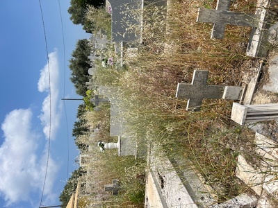 Καθαρισμός και συντήρηση Νεκροταφείου