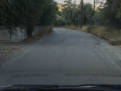 Κόψιμο χορταρικών