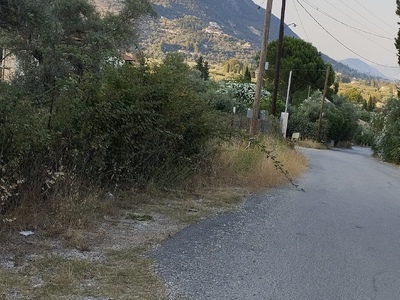 Κόψιμο χορταρικών