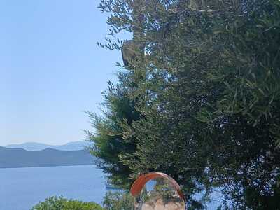 ΚΑΜΕΝΗ ΛΑΜΠΑ ΚΡΥΜΕΝΗ ΣΤΑ ΚΛΑΔΙΑ